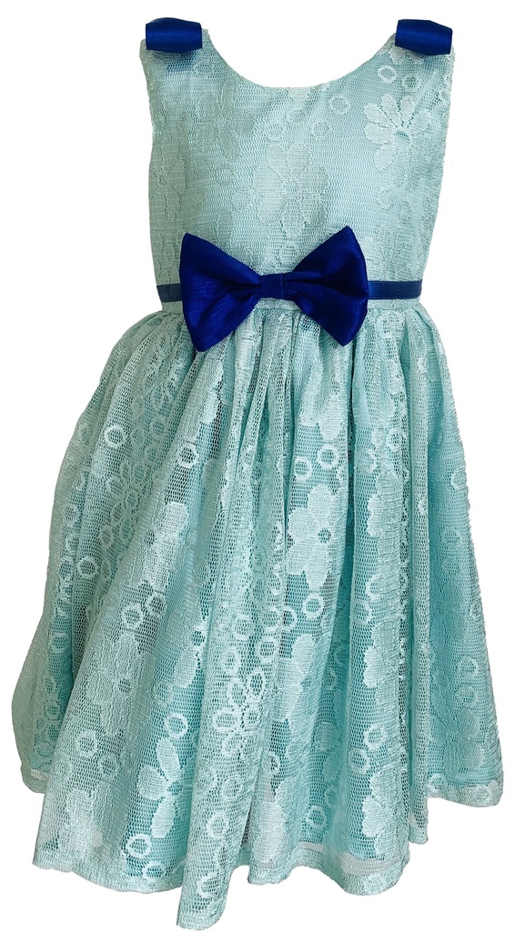 Dark Blue Net Flare Dress